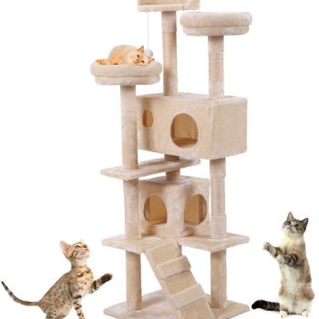 a cream cat tree with some cats inside